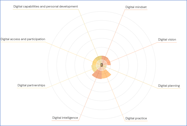 Example of a radial graph showing 8 elements of digital capability and a user's progress towards them